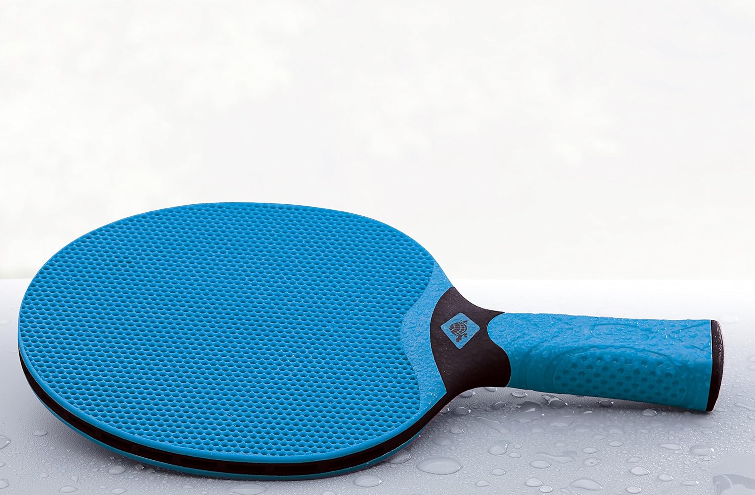Donic-Schildkrot Alltec Hobby Paddle & Balls Set - Blue/Green