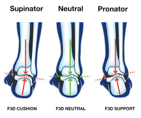 UP Advanced Insole Neutral With F3D UP4569