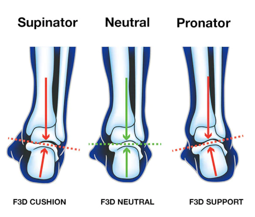 UP Advanced Insole Support+ With F3D UP4570