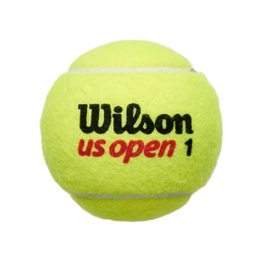 Wilson US Open Ball 4 Ball Can WRT116200 by Wilson
