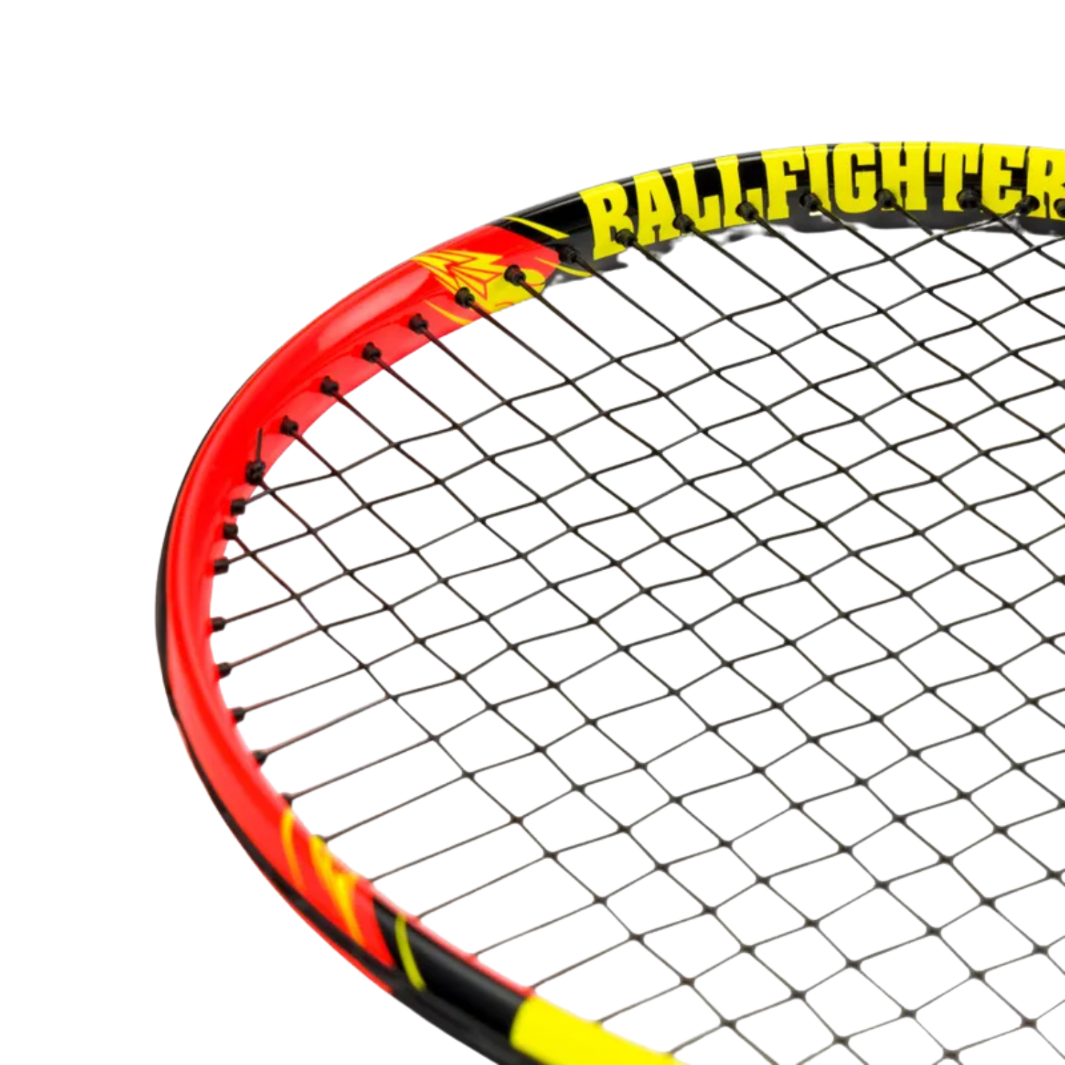 Babolat Ballfighter 21 (140239)