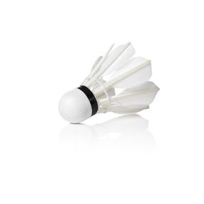 RSL DTL 8A Feather Shuttlecocks Feather Shuttle RSL