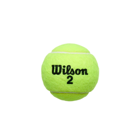 Wilson Roland Garros Clay Court 4 Ball Can - Yellow Tennis Balls Wilson