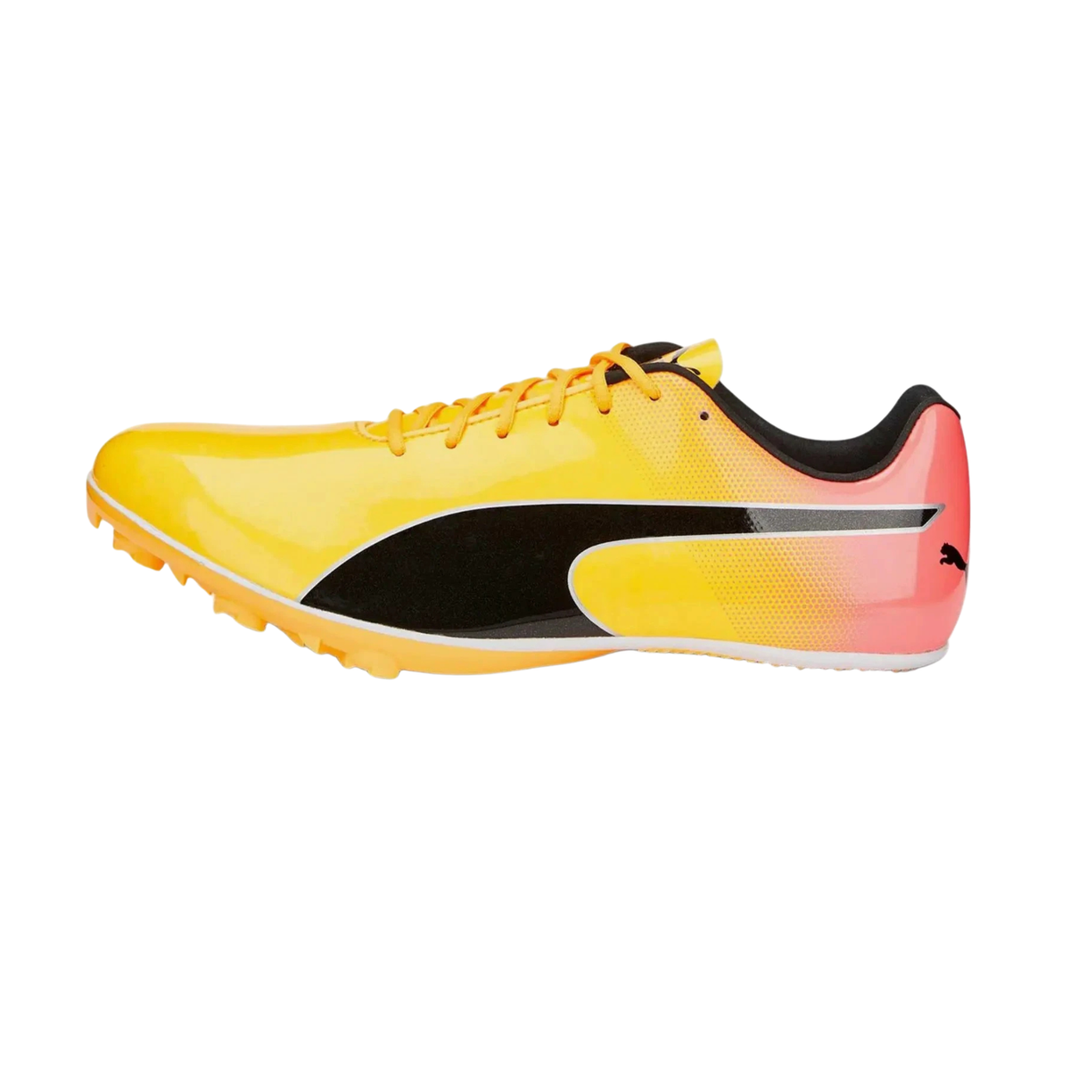 Puma Evospeed Sprint 14 Running Shoe Unisex - Yellow Sun Stream Sunset Glow Puma Black Running Shoes Puma