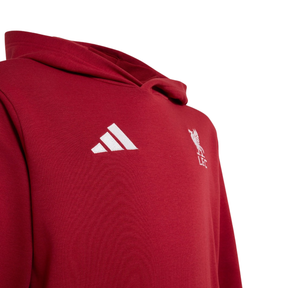 Adidas Liverpool F.C. Hoodie Kids - Red Clothing Adidas