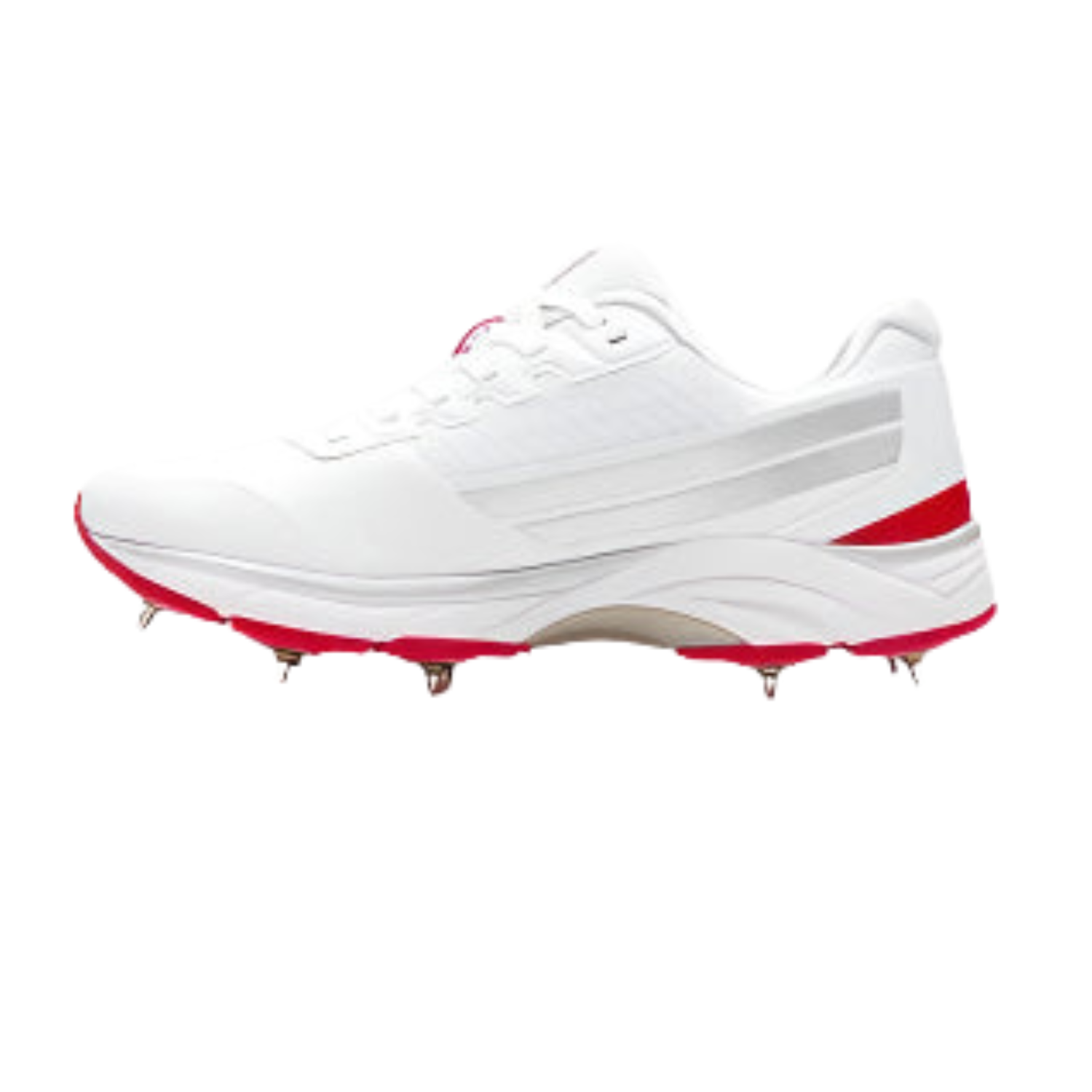 Gray Nicolls Velocity 5.0 Spike Adult by Gray Nicolls