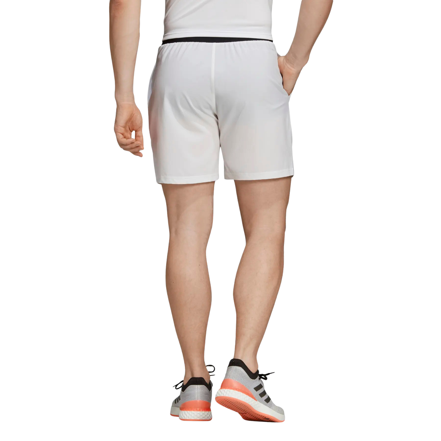 Adidas Club SW Shorts Men - White Clothing Adidas