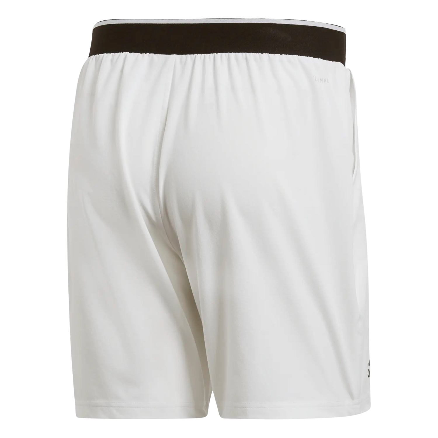 Adidas Club SW Shorts Men - White Clothing Adidas