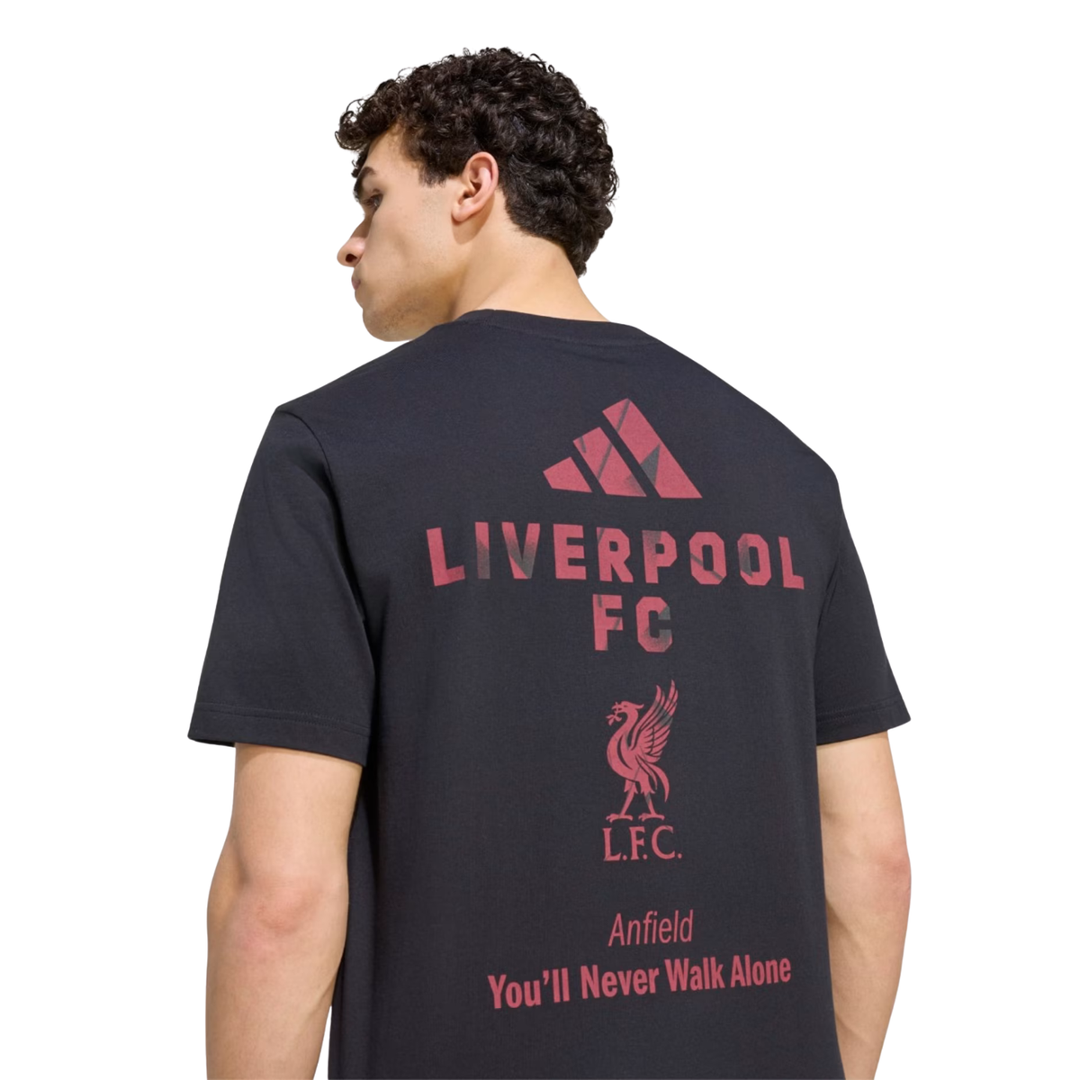 Adidas Liverpool F.C. 26/27 Seasonal Graphic T-Shirt Men - Black Clothing Adidas